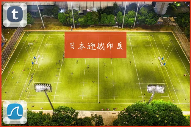 日本迎战印度