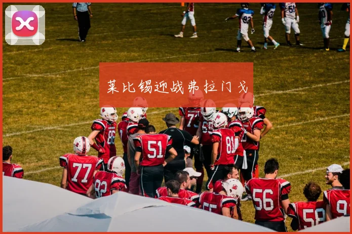莱比锡迎战弗拉门戈