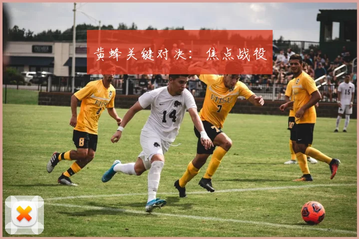 黄蜂关键对决：焦点战役