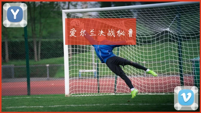 爱尔兰决战秘鲁