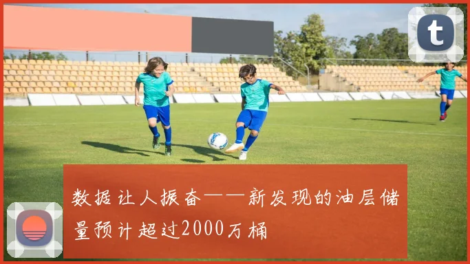 数据让人振奋——新发现的油层储量预计超过2000万桶