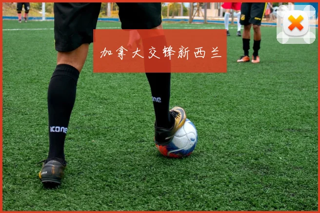 加拿大交锋新西兰