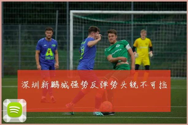 深圳新鹏城强势反弹势头锐不可挡