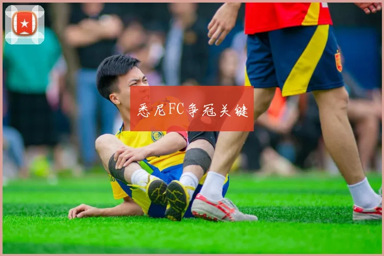悉尼FC争冠关键