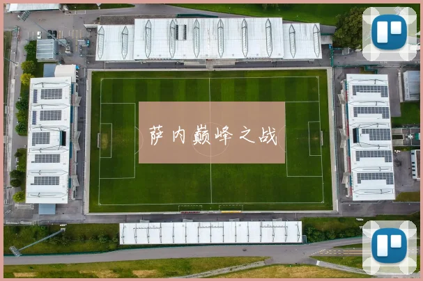 萨内巅峰之战