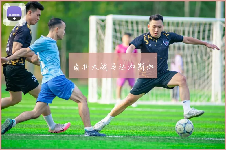 南非大战马达加斯加