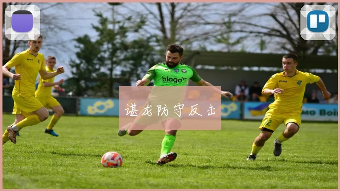 谌龙防守反击