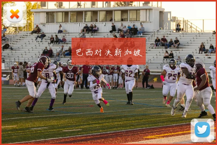 巴西对决新加坡