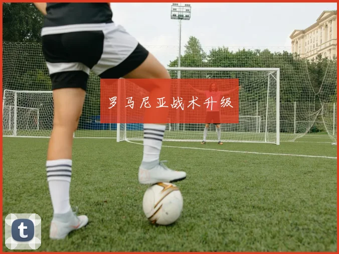 罗马尼亚战术升级