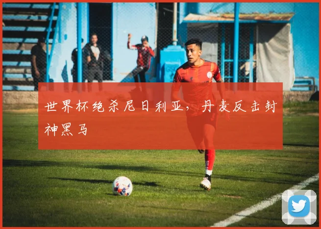 世界杯绝杀尼日利亚，丹麦反击封神黑马