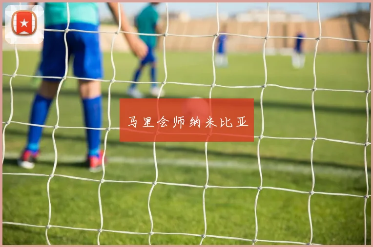 马里会师纳米比亚
