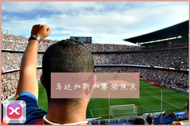 马达加斯加赛场焦点