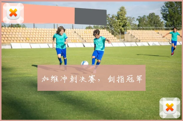 加维冲刺决赛，剑指冠军