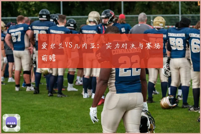 爱尔兰VS几内亚：实力对决与赛场前瞻