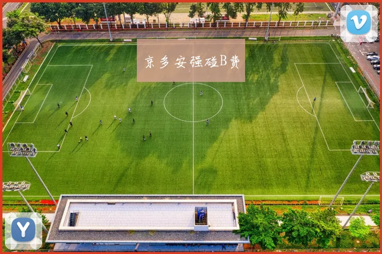 京多安强碰B费