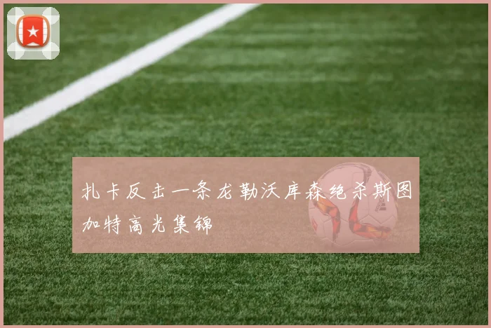 扎卡反击一条龙勒沃库森绝杀斯图加特高光集锦
