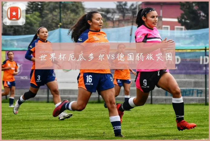 世界杯厄瓜多尔vs德国弱旅突围
