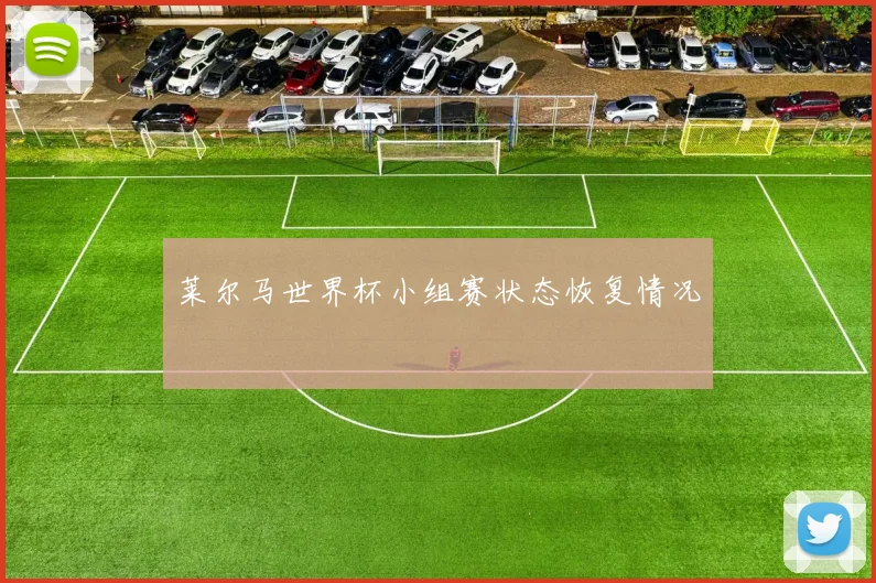 莱尔马世界杯小组赛状态恢复情况
