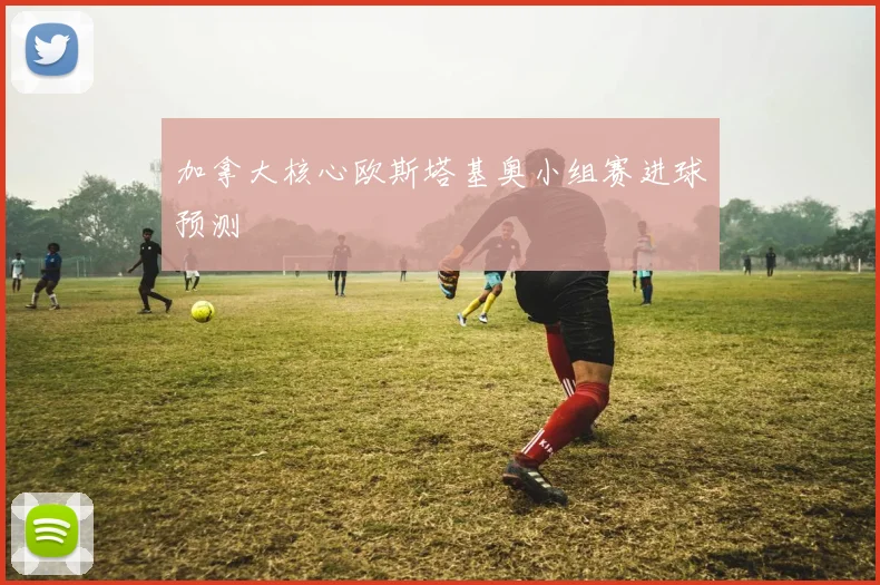 加拿大核心欧斯塔基奥小组赛进球预测
