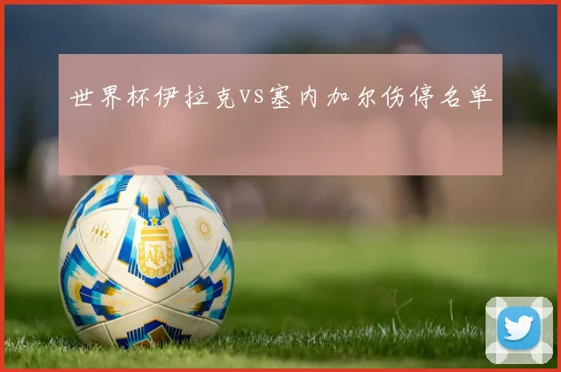 世界杯伊拉克vs塞内加尔伤停名单