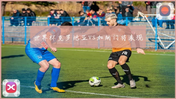 世界杯克罗地亚vs加纳门将表现