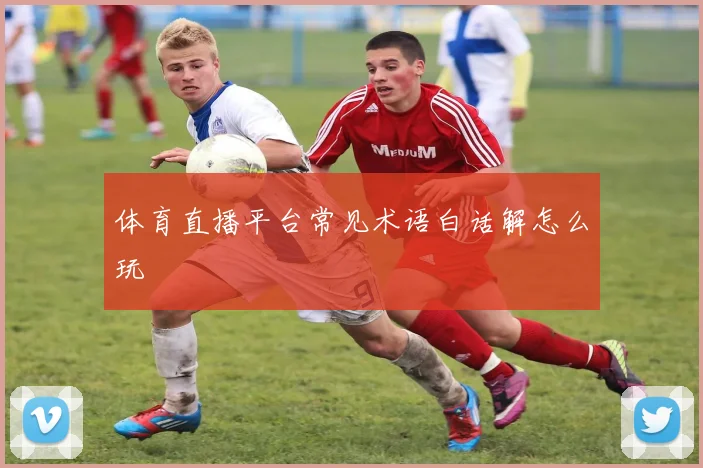 体育直播平台常见术语白话解怎么玩