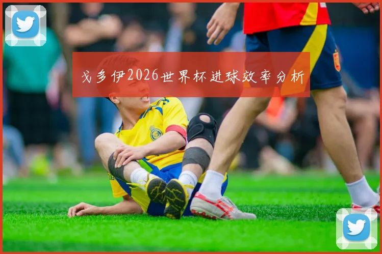 戈多伊2026世界杯进球效率分析